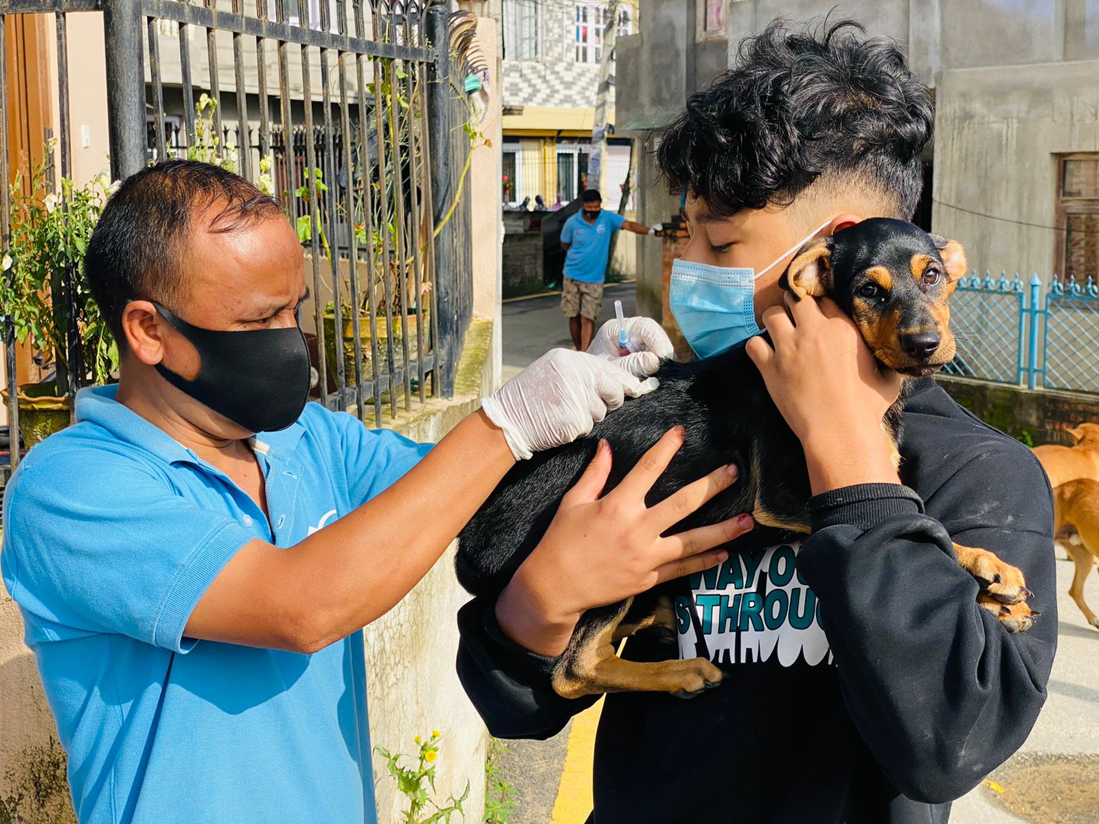 Anti – Rabies Vaccination Campaign