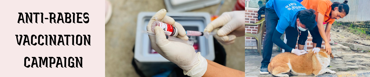 Anti – Rabies Vaccination Campaign