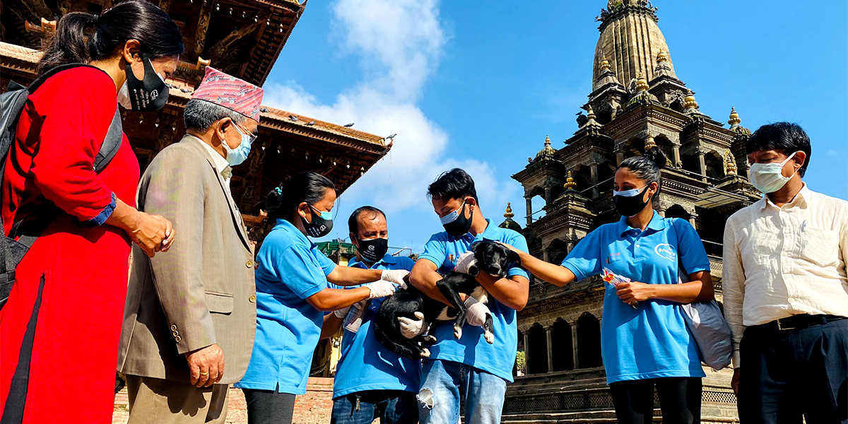 Anti – Rabies Vaccination Campaign