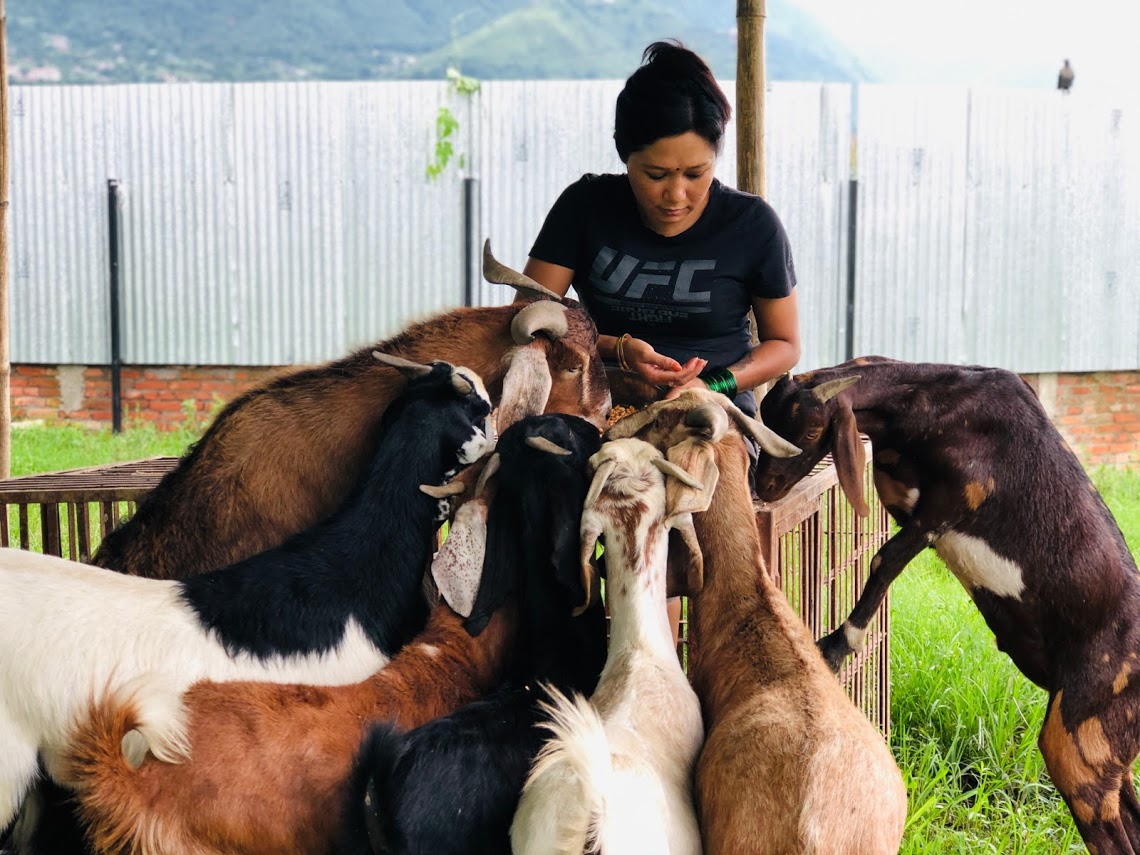 Take a tour or volunteer in our animal shelter