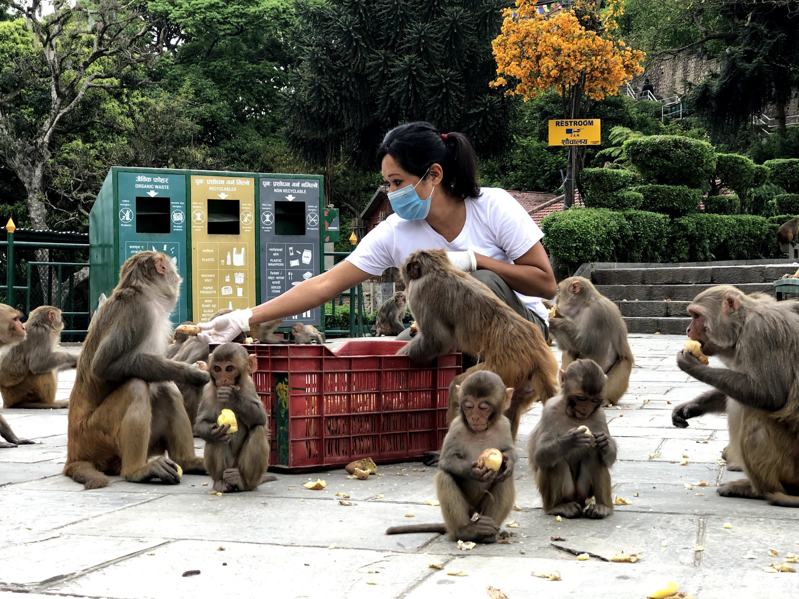 Feeding