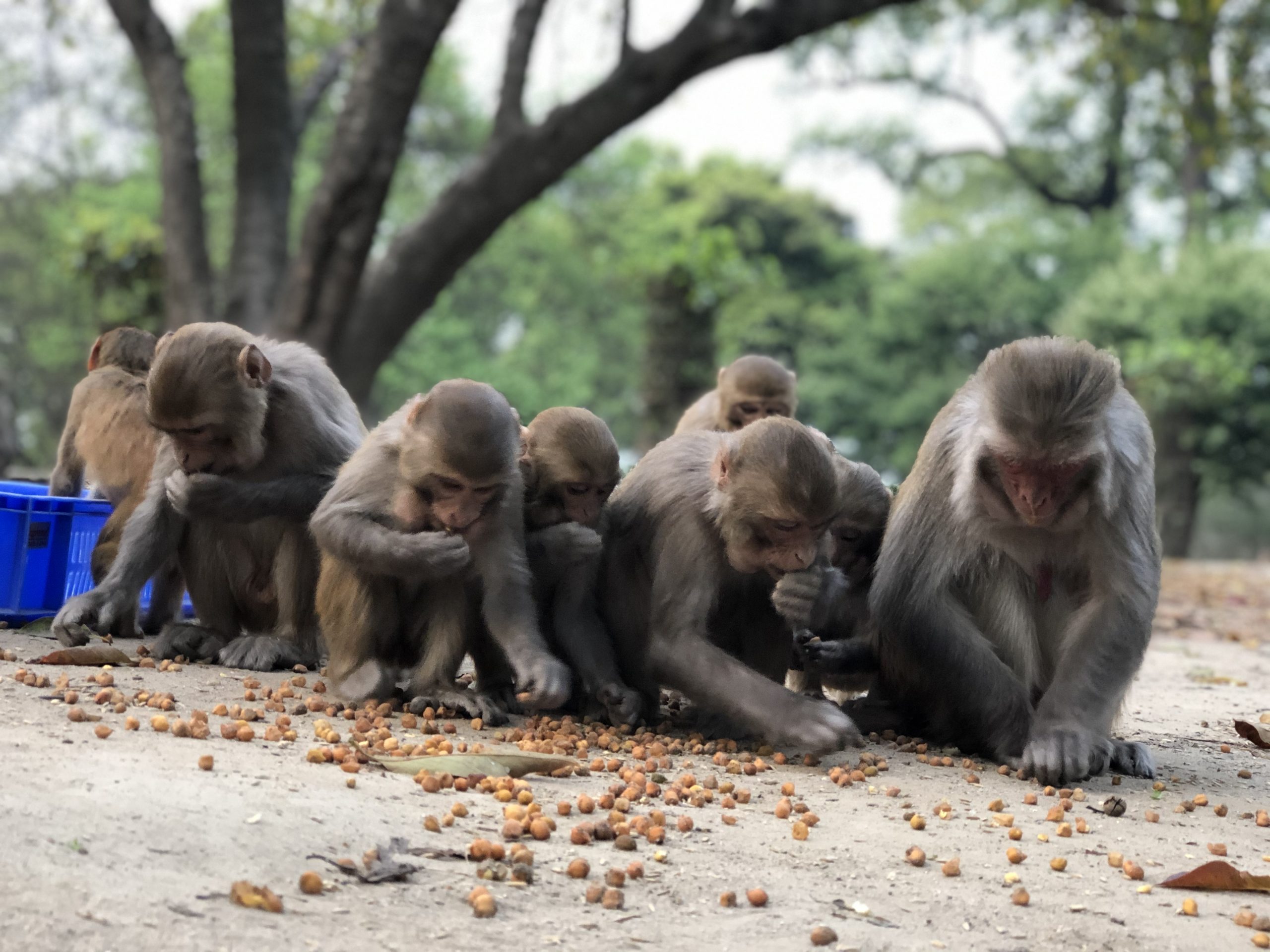  Regular Feeding