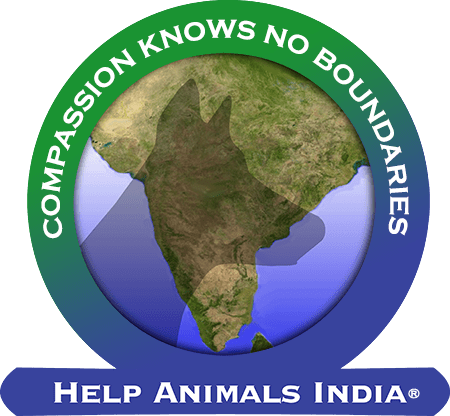 Help Animals India