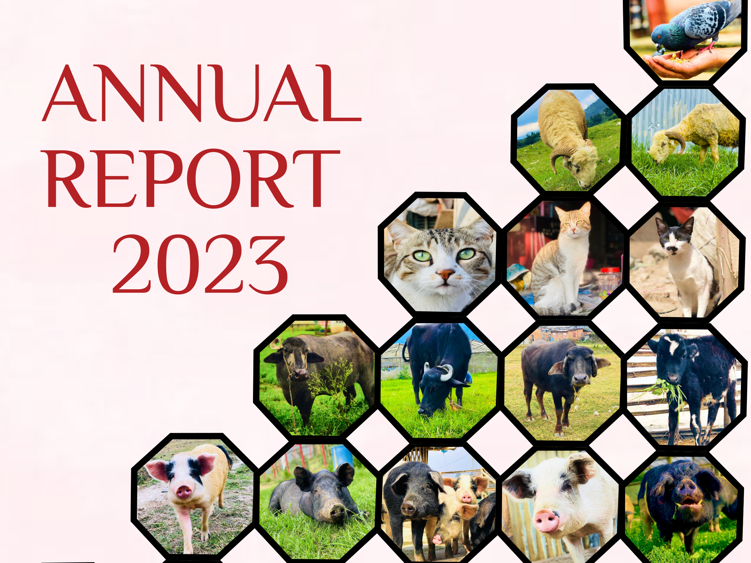 Annual Report 2023