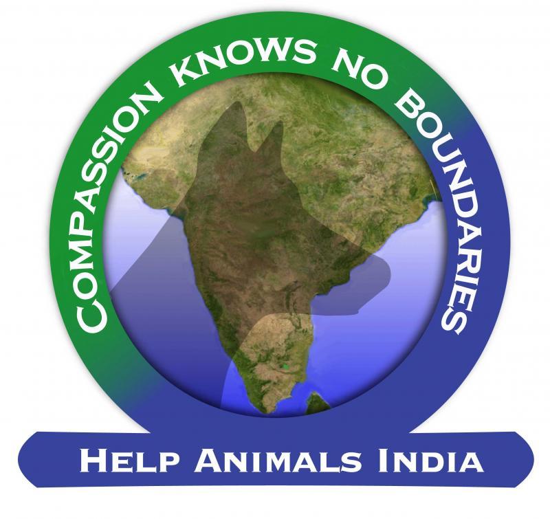 Help Animals India