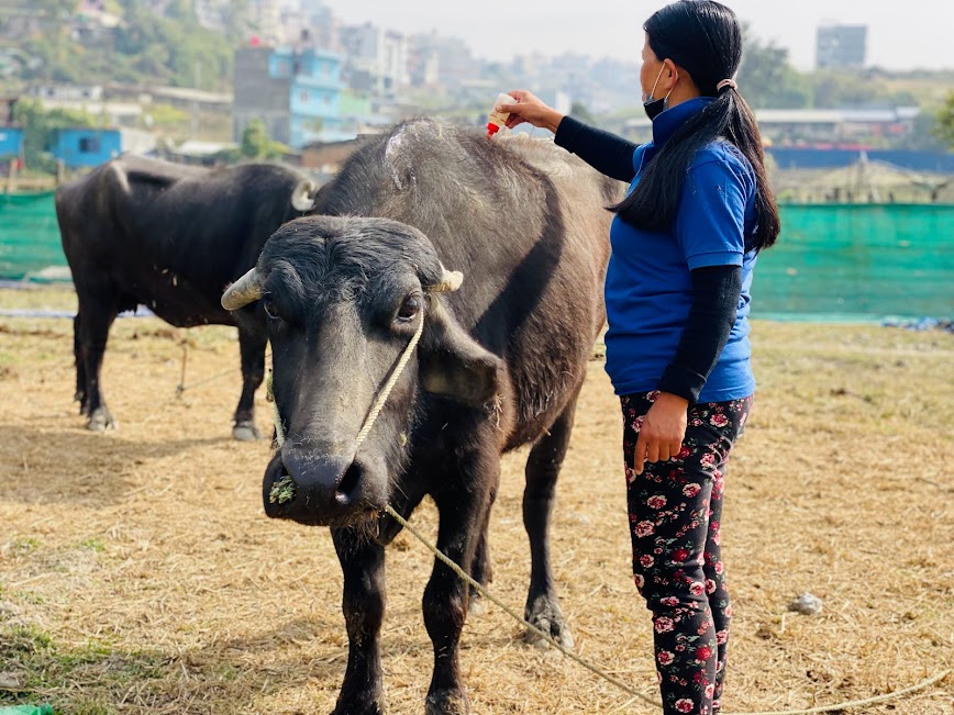 From Slaughterhouse to Sneha’s Care: The Tale of MAYAKUMARI