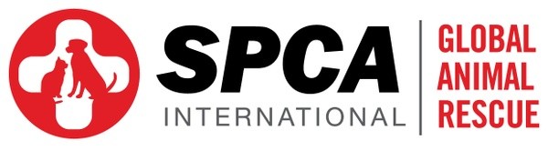 SPCA International