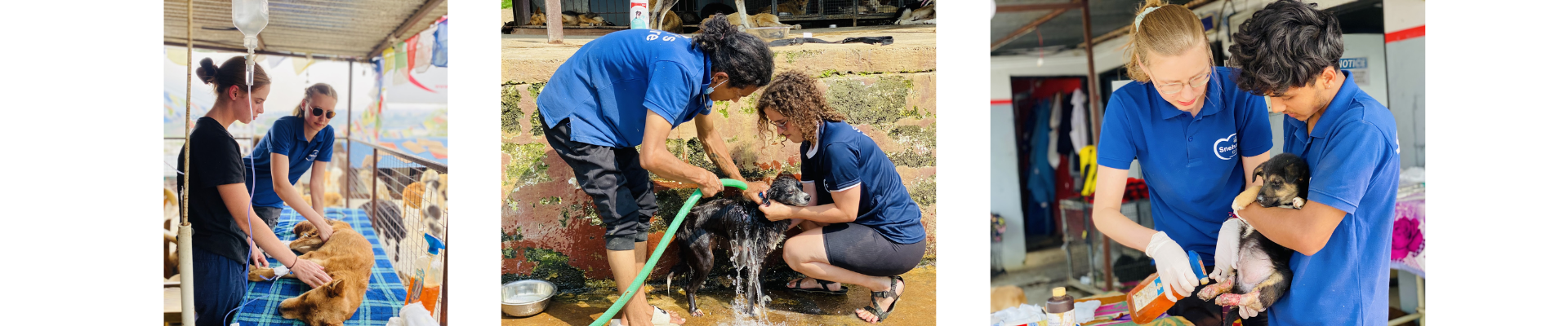 VOLUNTEER WITH US