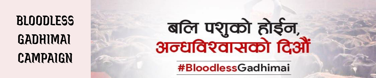 Our initiative – Bloodless Gadhimai Campaign