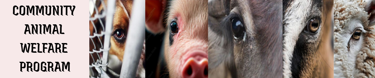 Community Animal Welfare Program
