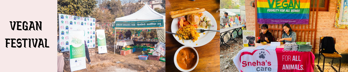 Vegan Festival