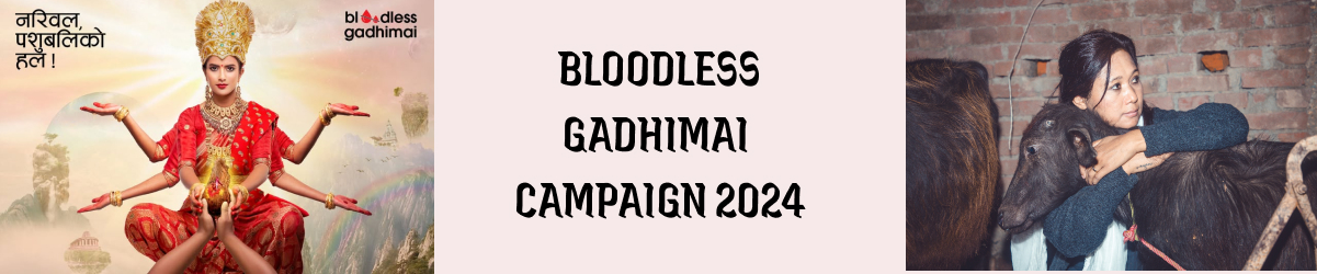 Bloodless Gadhimai Campaign 2024