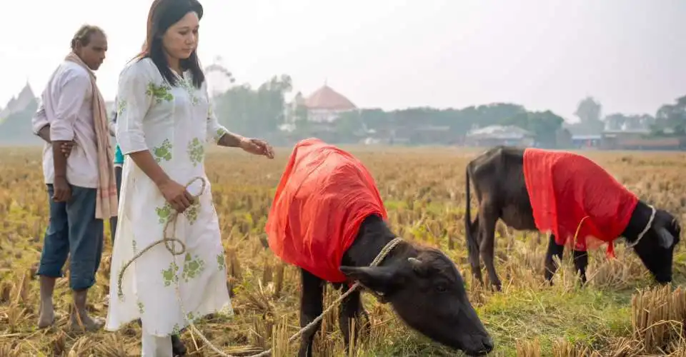 Nepal temple conducts mass animal slaughter, despite outcry