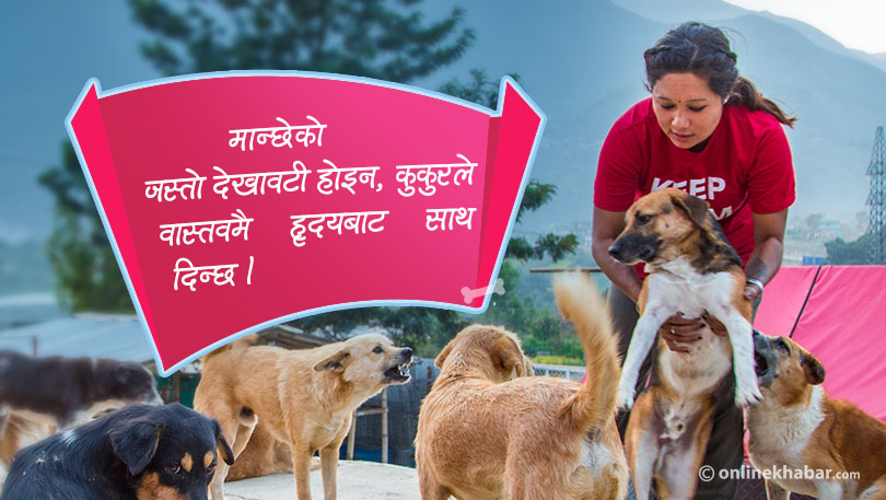 सडक कुकुरका धाइआमाहरु, जो आफ्नो छाक कुकुरसँग बाँड्छन्