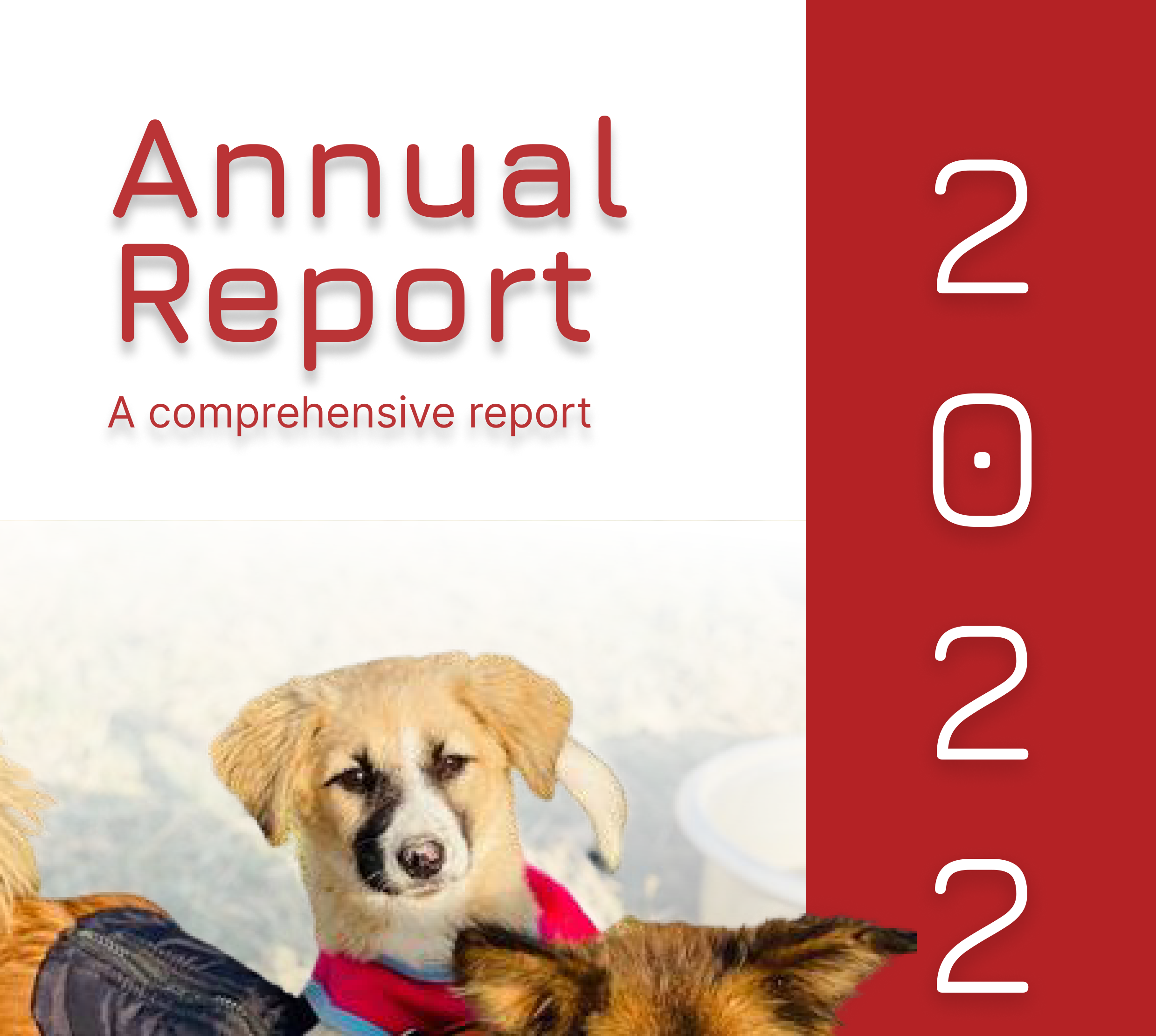 Annual Report 2022