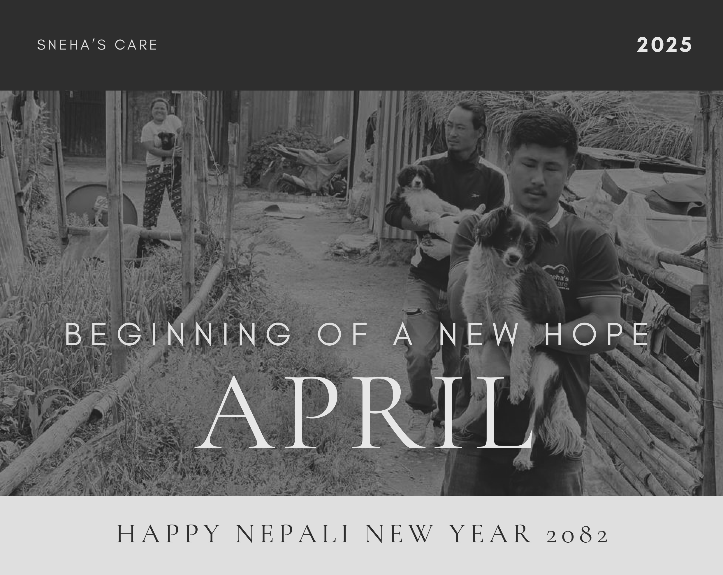 April Newsletter 2025
