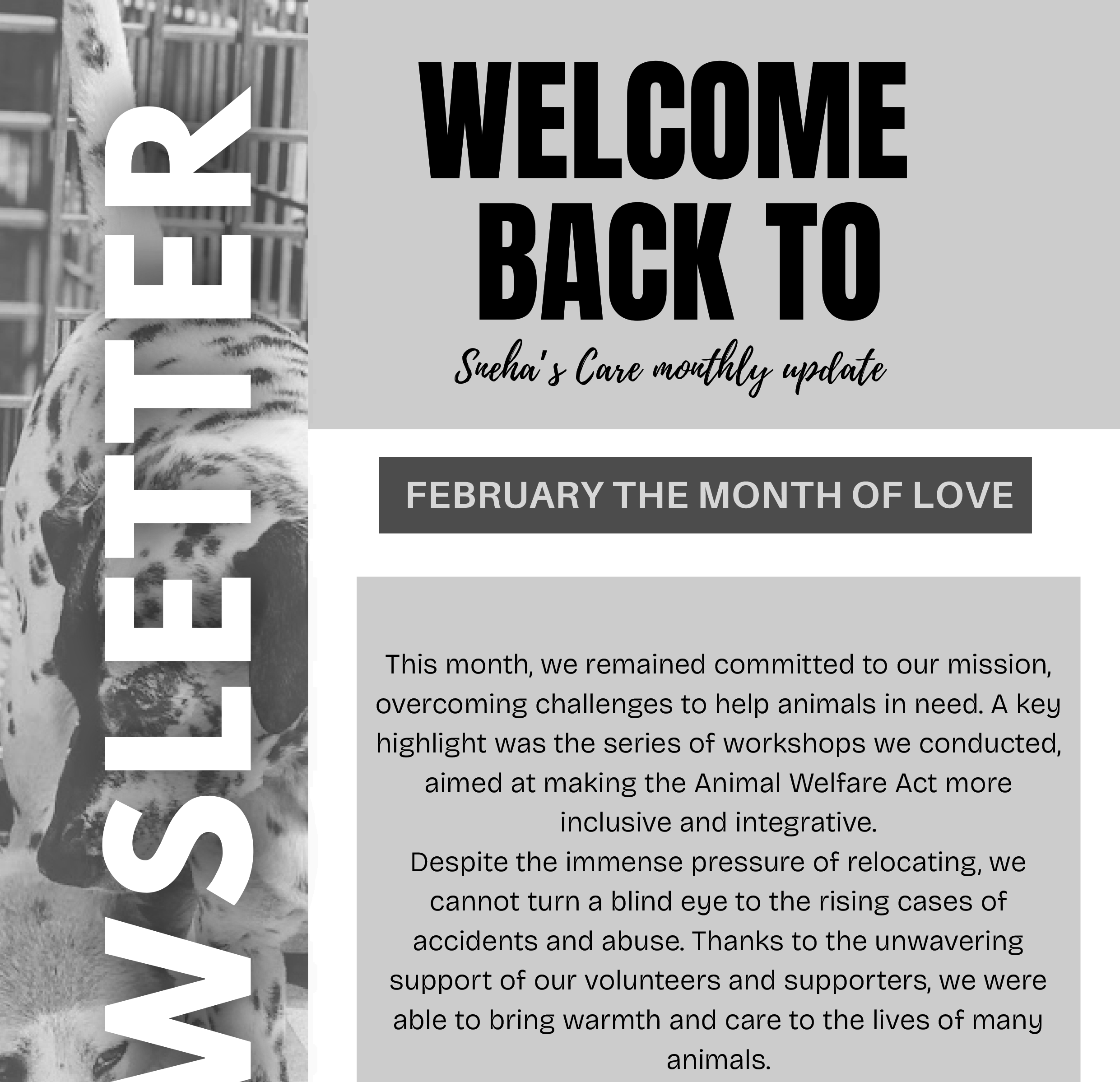 February Newsletter 2025