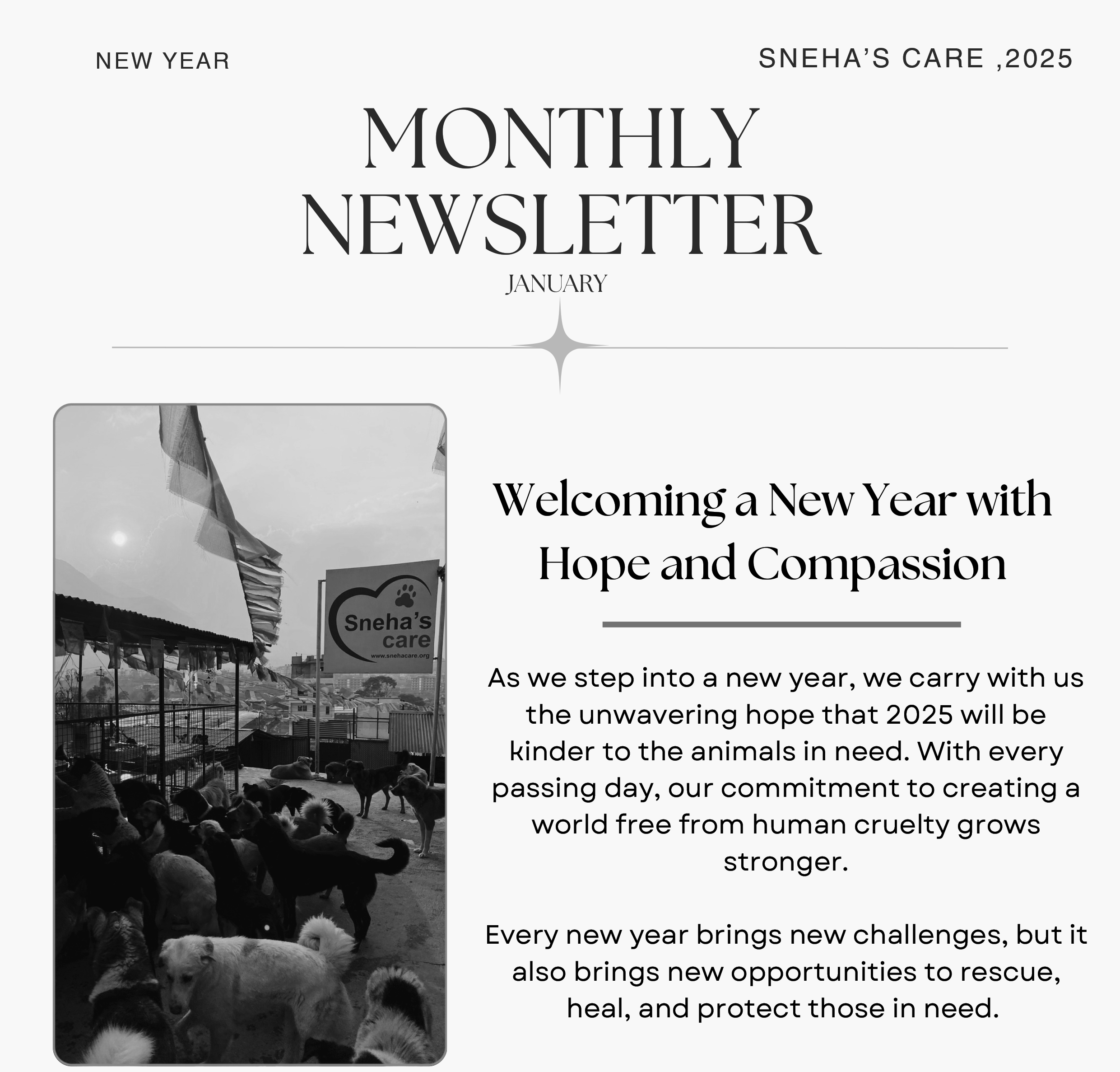 January Newsletter 2025
