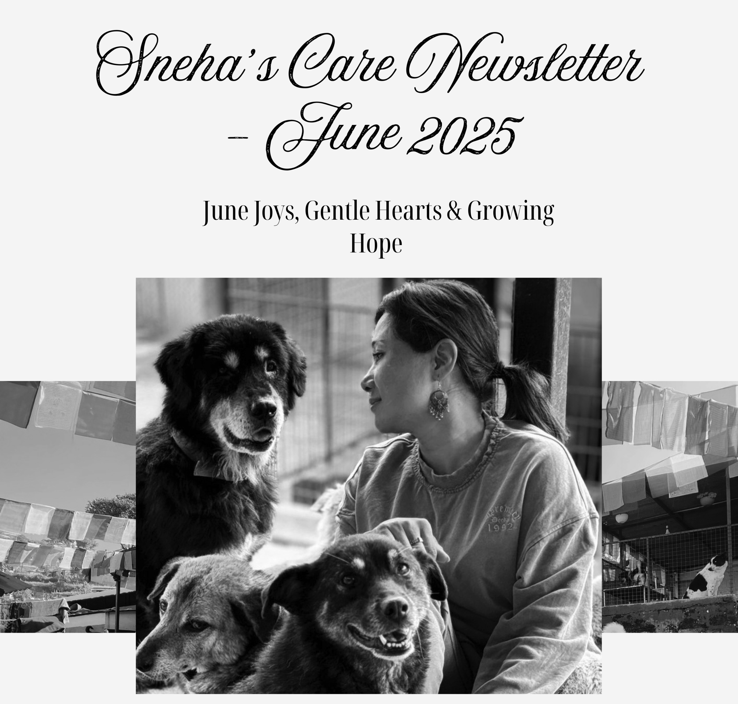 June Newsletter 2025
