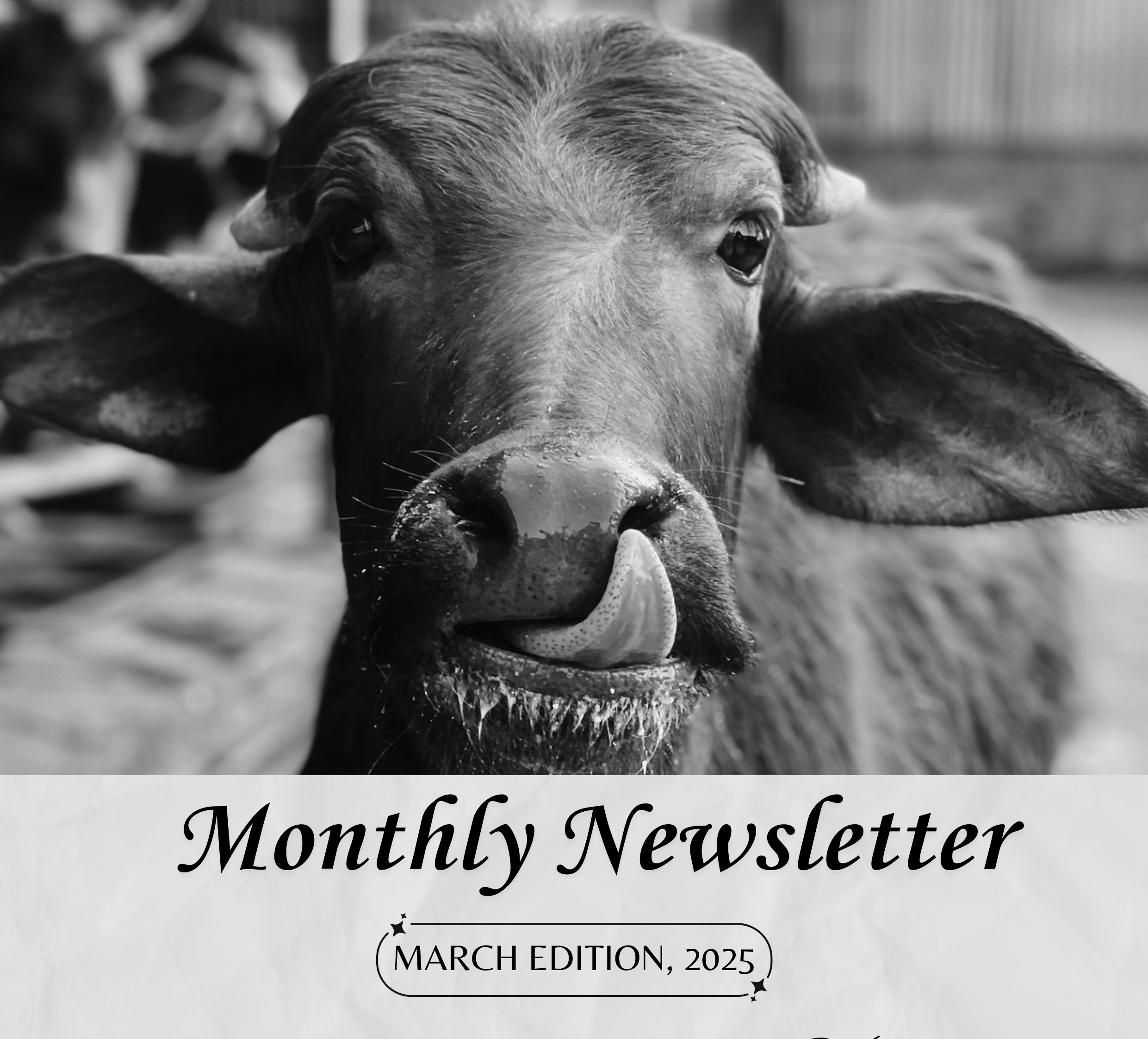 March Newsletter 2025