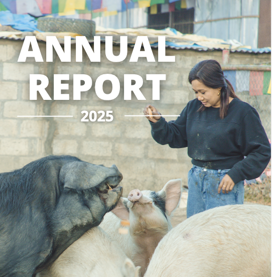 Annual Report 2025