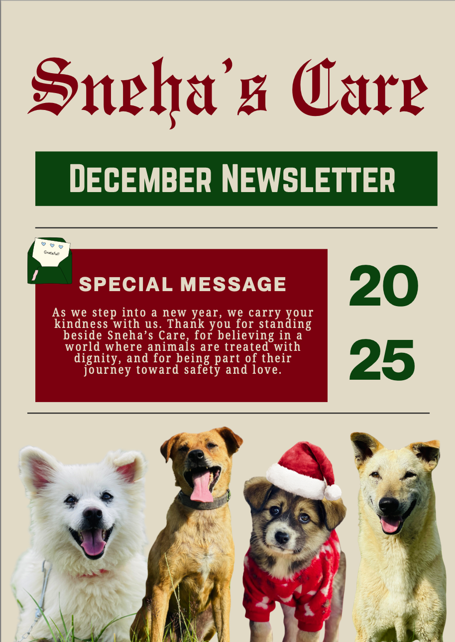 December Newsletter 2025