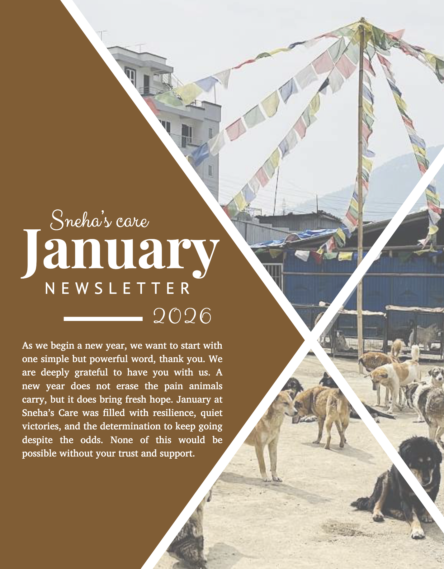 January Newsletter 2026