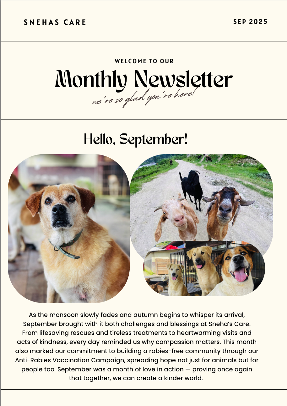 September Newsletter 2025
