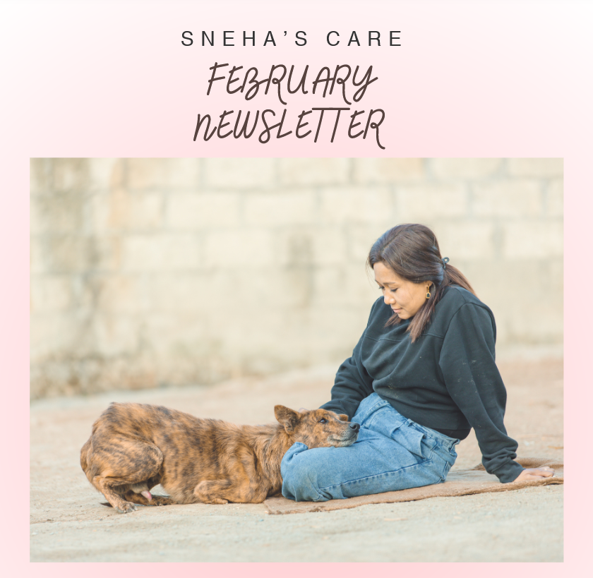 February Newsletter 2026